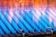 Badninish gas fired boilers